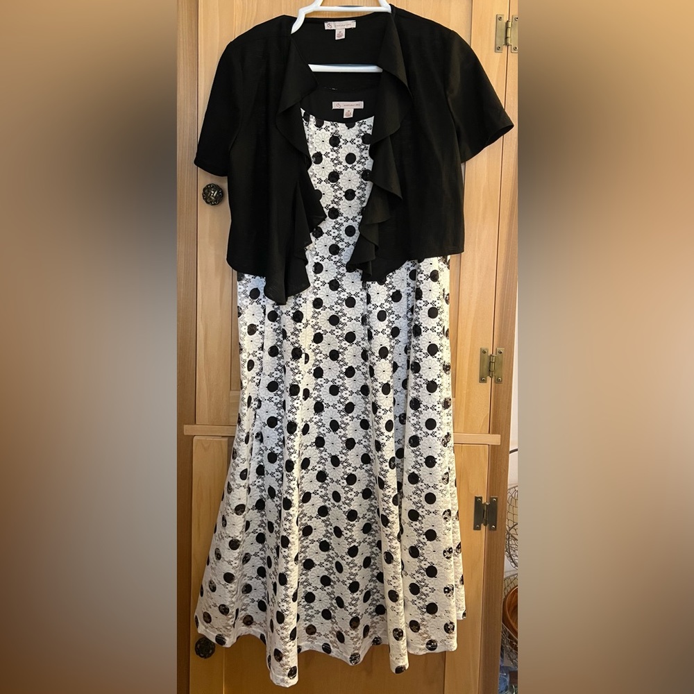 Dress Barn Dress